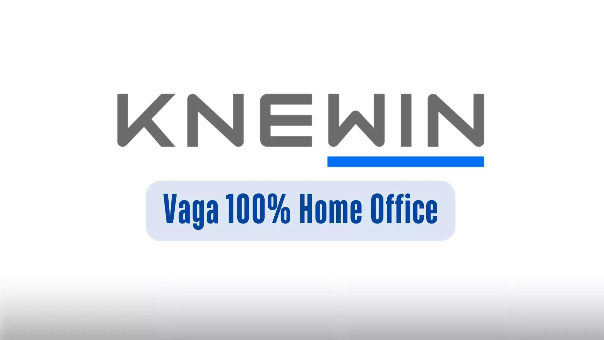 VAGA PARA ANALISTA NA KNEWIN 100% HOME OFFICE, ASSISTENTE DE OPERAÇÕES JR: Vaga 100% Remoto na Knewin com Auxílio Home Office